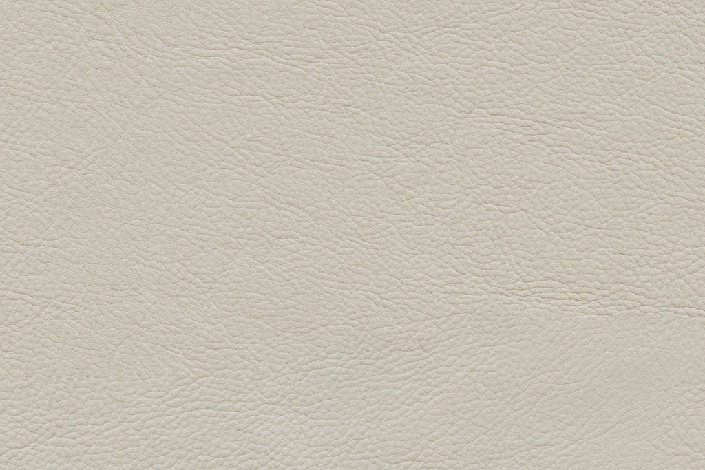 Kai Genuine Leather Sofa – Silver|Sofa Kai en cuir véritable – argenté